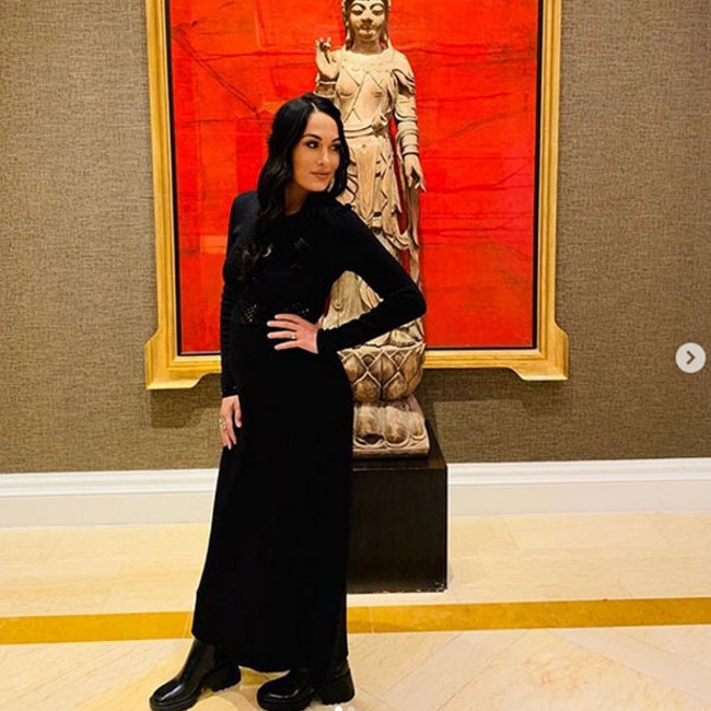 Brie Bella, Instagram